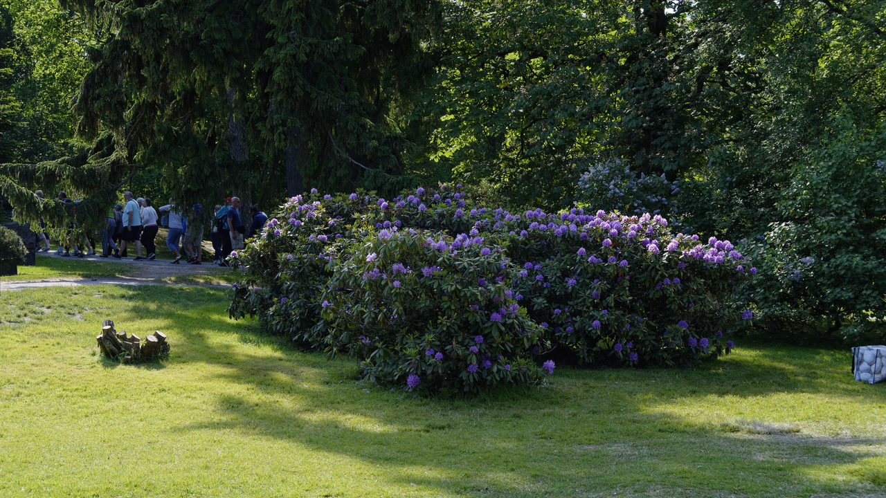 20180611 095538 Sibelius Monument, Helsinki, Uusimaa, Finland